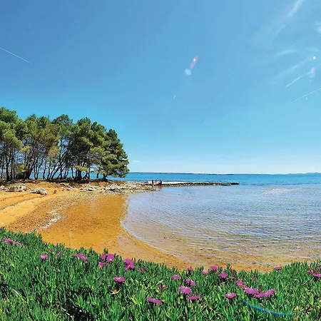 아파트 Gorgeous In With Wifi 비르