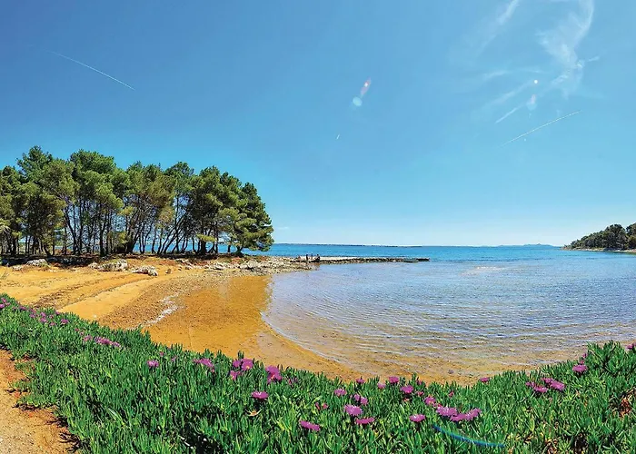 아파트 Gorgeous In With Wifi 비르